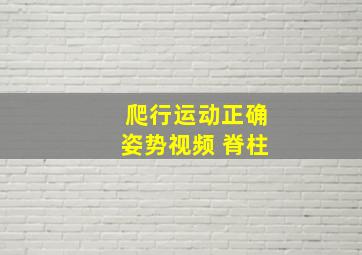 爬行运动正确姿势视频 脊柱